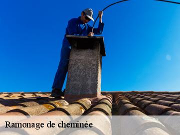 Ramonage de cheminée