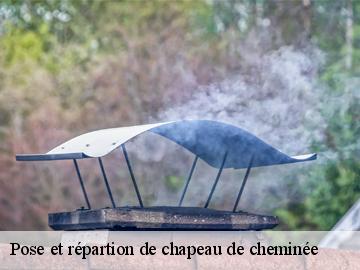 Pose et répartion de chapeau de cheminée