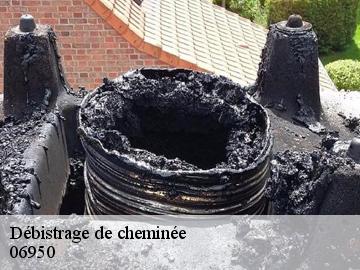 Débistrage de cheminée  06950