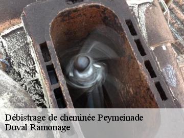 Débistrage de cheminée  peymeinade-06530 Duval Ramonage 